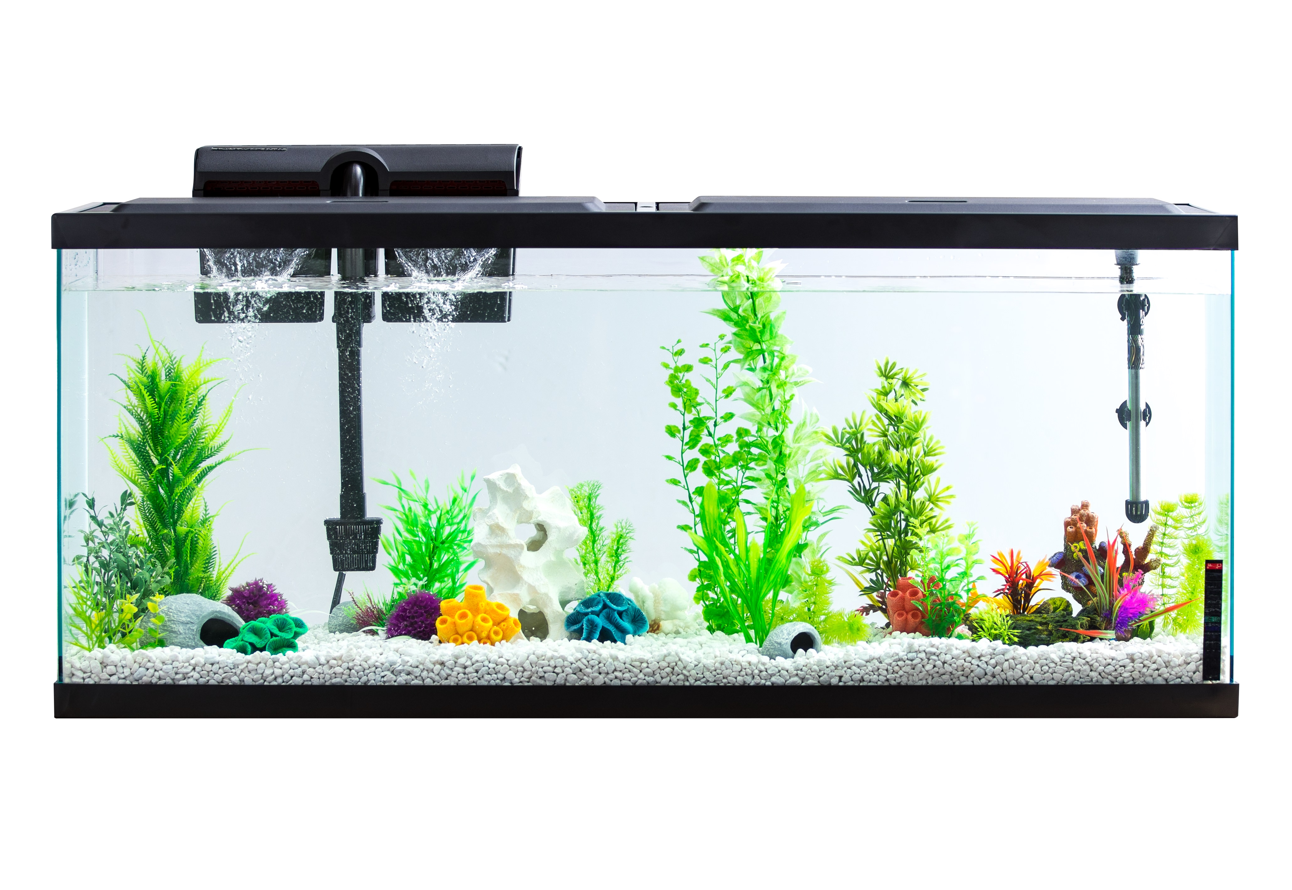 Fish Tank - HD Wallpaper 
