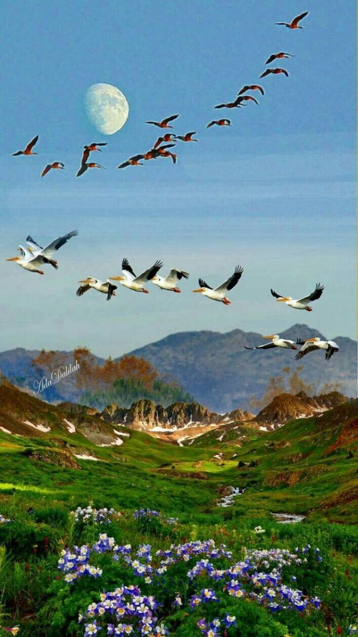 Photography - HD Wallpaper 