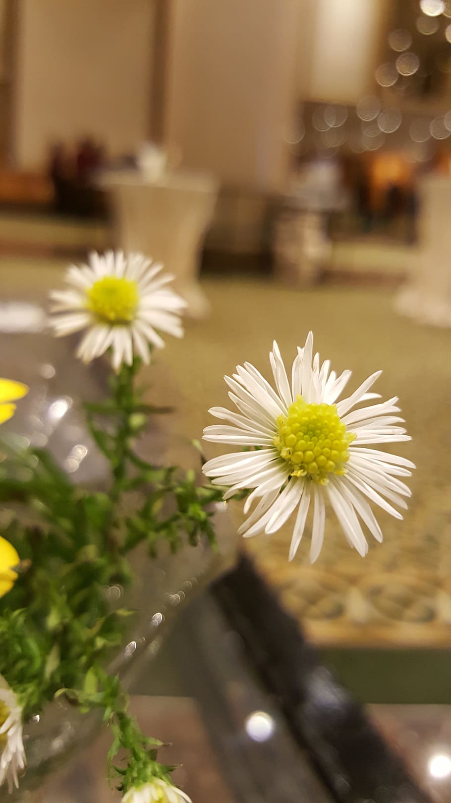 Small Flower, White, Spring, Nature, Floral, Summer, - Flower - HD Wallpaper 