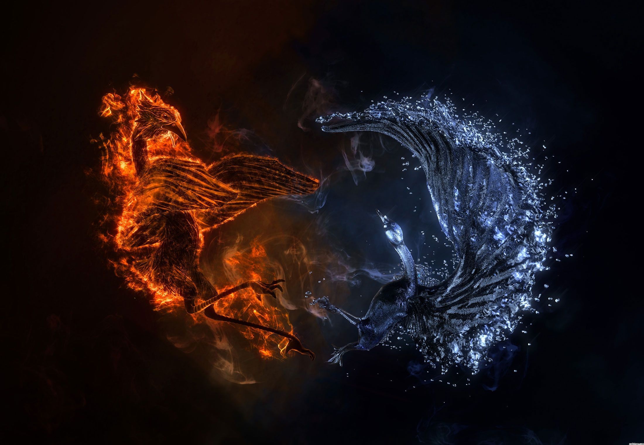 Phoenix Live Images, Hd Wallpapers Bsnscb Graphics - Fire And Water Unicorn - HD Wallpaper 