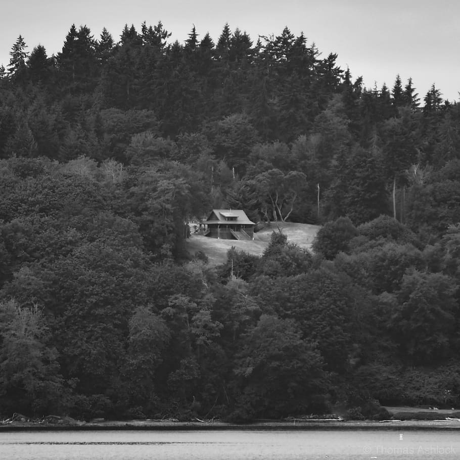 Canada, River, Sea, Shoreline, Cabin, Tiny, House, - Spruce - HD Wallpaper 