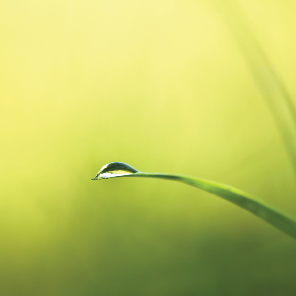 Ipad Hd Wallpapers - Minimalismo En La Naturaleza - HD Wallpaper 