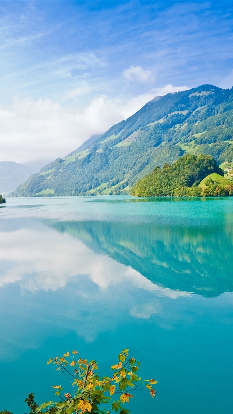 Iphone Wallpaper Summer Nature - HD Wallpaper 