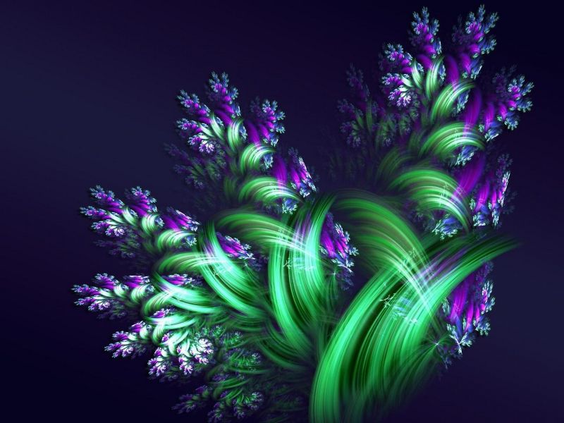 Beautiful Flower Images 3d - HD Wallpaper 