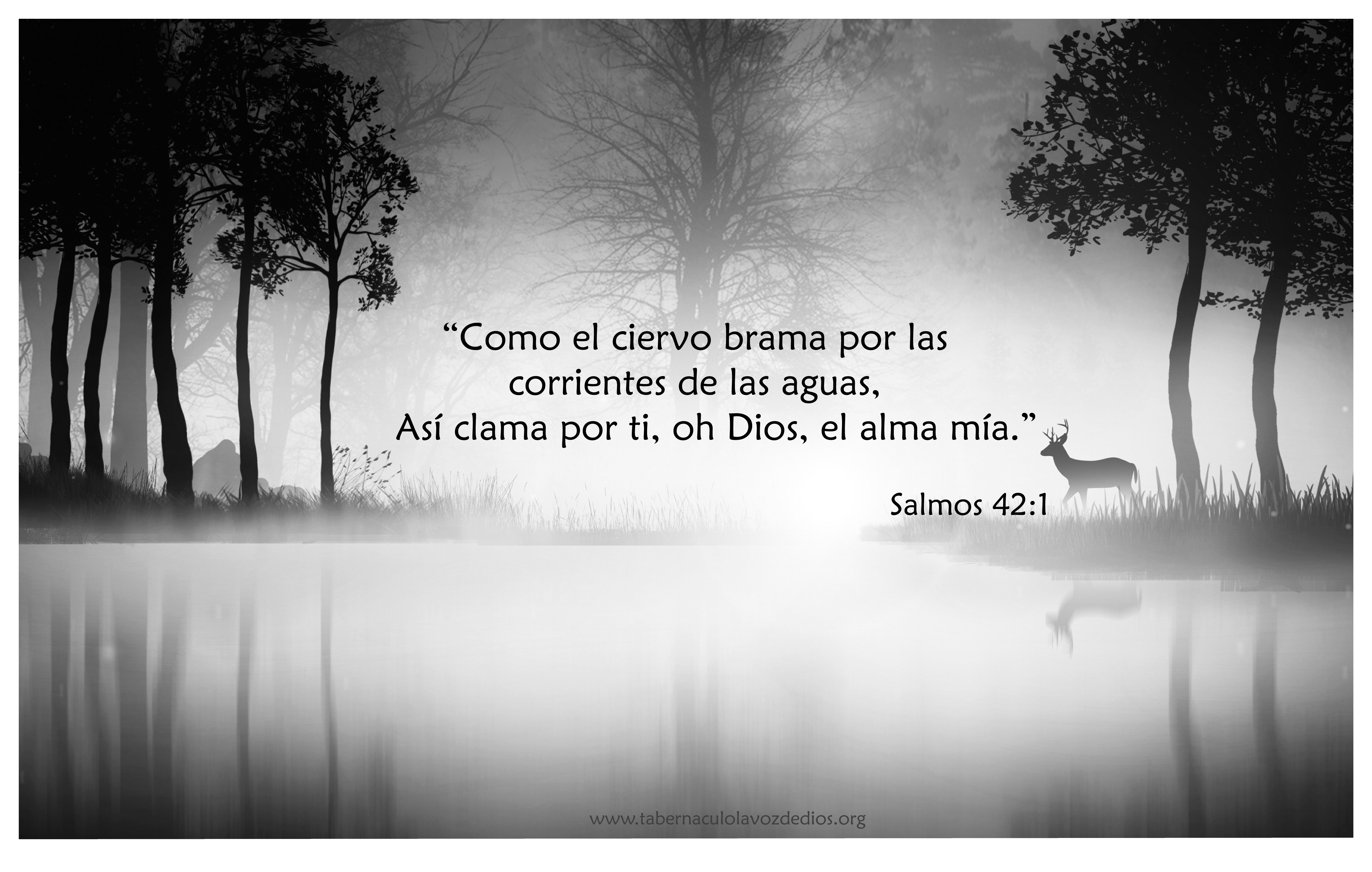 Deer Near A Lake Wallpaper - Deer Pants For The Water So My Soul Longs After You - HD Wallpaper 