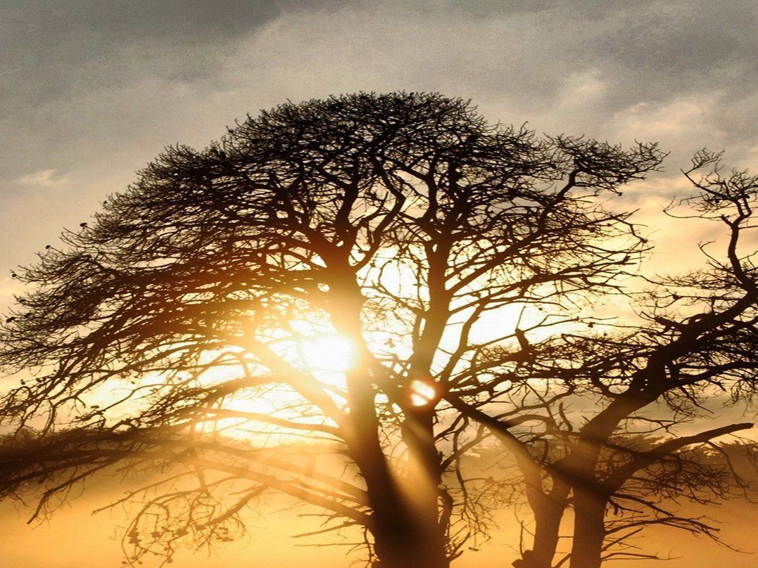 تلویزیون ۳۲ اینچ پارس - HD Wallpaper 