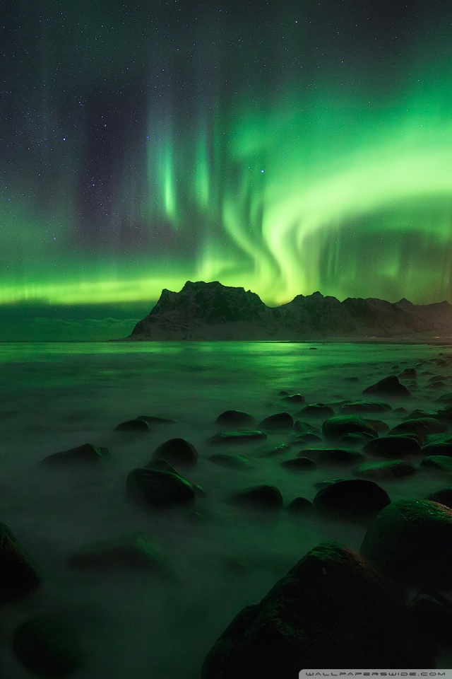 Smartphone Wallpaper Green - HD Wallpaper 