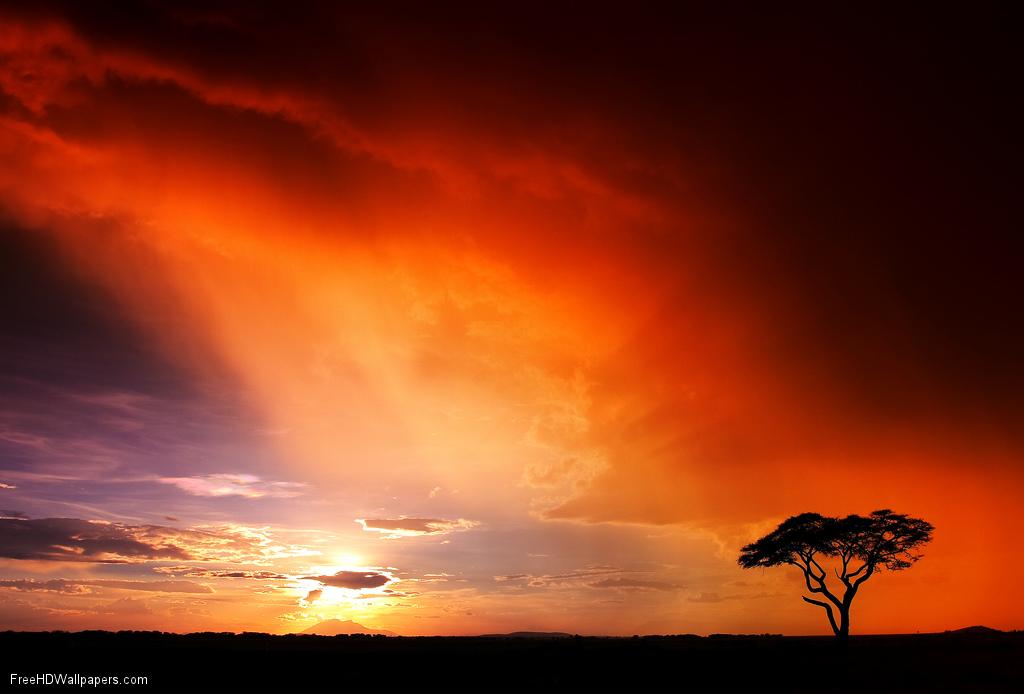 African Animals Skylines Sky 46672 Wallpaper Wallpaper - Sunset - HD Wallpaper 