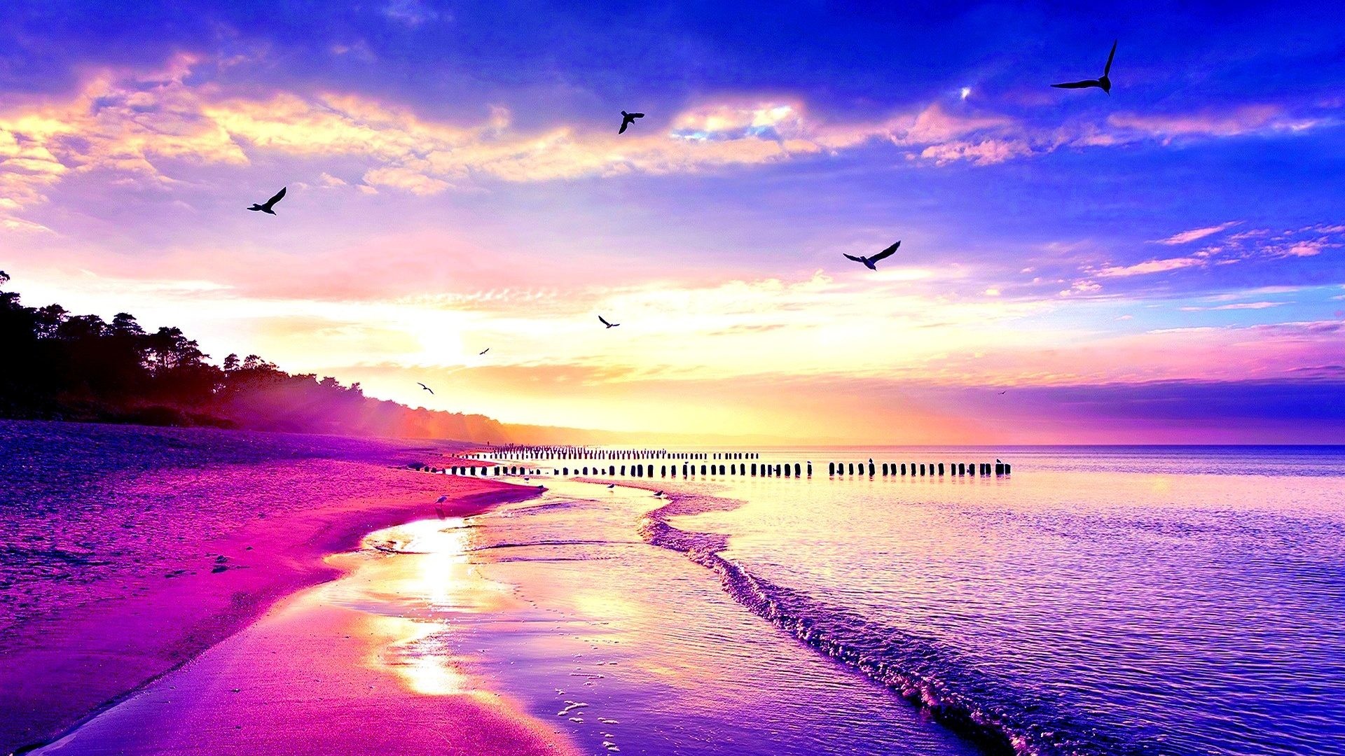 1920x1080, Beach Birds Nature Cool Sky Sunset Wallpapers - Colour Wallpaper Hd Nature - HD Wallpaper 