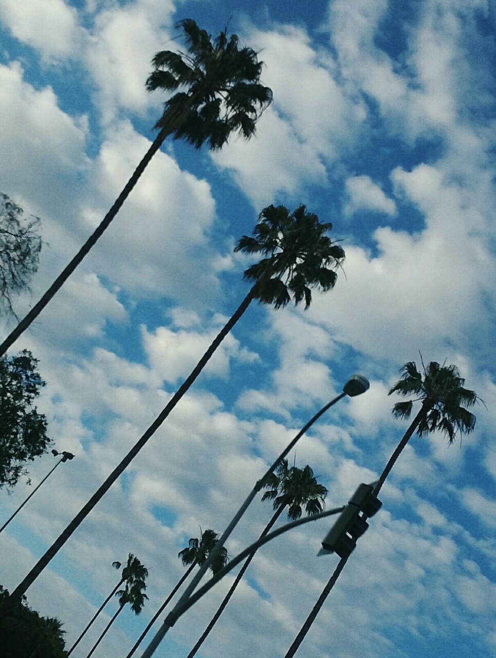 Teen Tumblr Backgrounds For Iphone - HD Wallpaper 