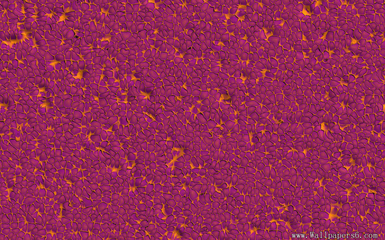 Motorola Droid Mobiles, Free Mobile Wallpapers For - Electric Blue - HD Wallpaper 