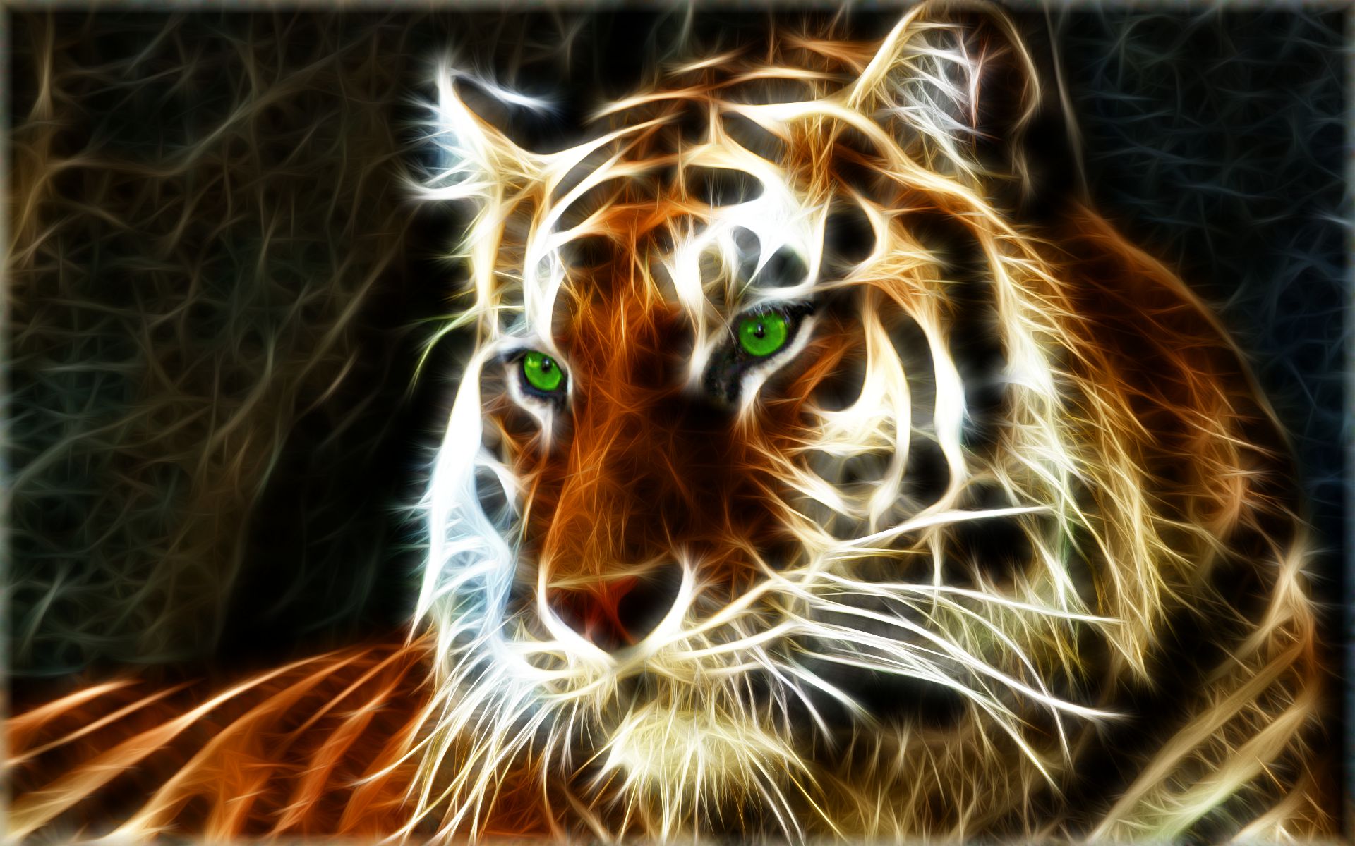 Tiger Backgrounds - HD Wallpaper 