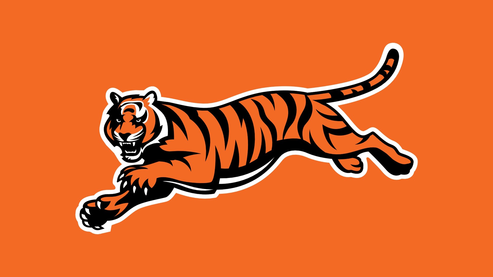 Cincinnati Bengals Hd Wallpapers - Cincinnati Bengals Wallpaper Tiger - HD Wallpaper 