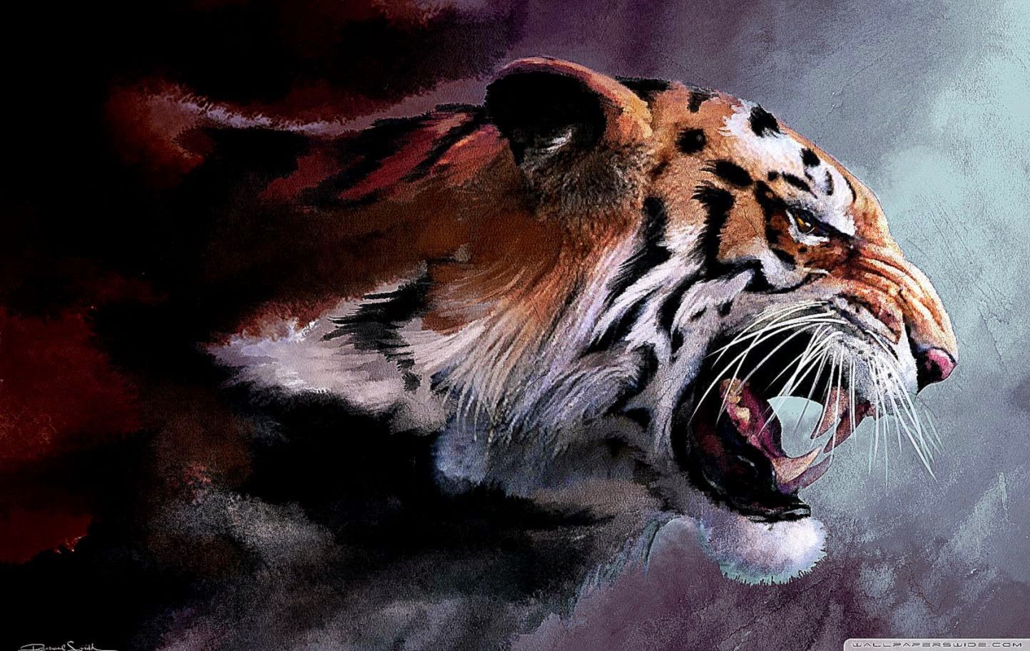 Dragon And Tiger Wallpaper - Tiger Wallpaper 4k - 1444x913 Wallpaper - Dragon And Tiger Wallpaper - Tiger Wallpaper 4k - 1444x913 Wallpaper -