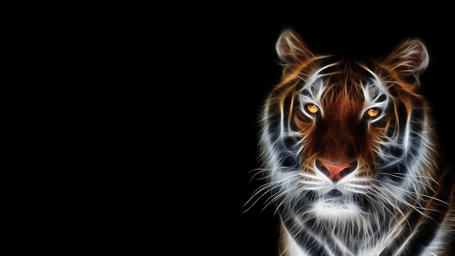 Animals Desktop Wallpapers Hd - HD Wallpaper 