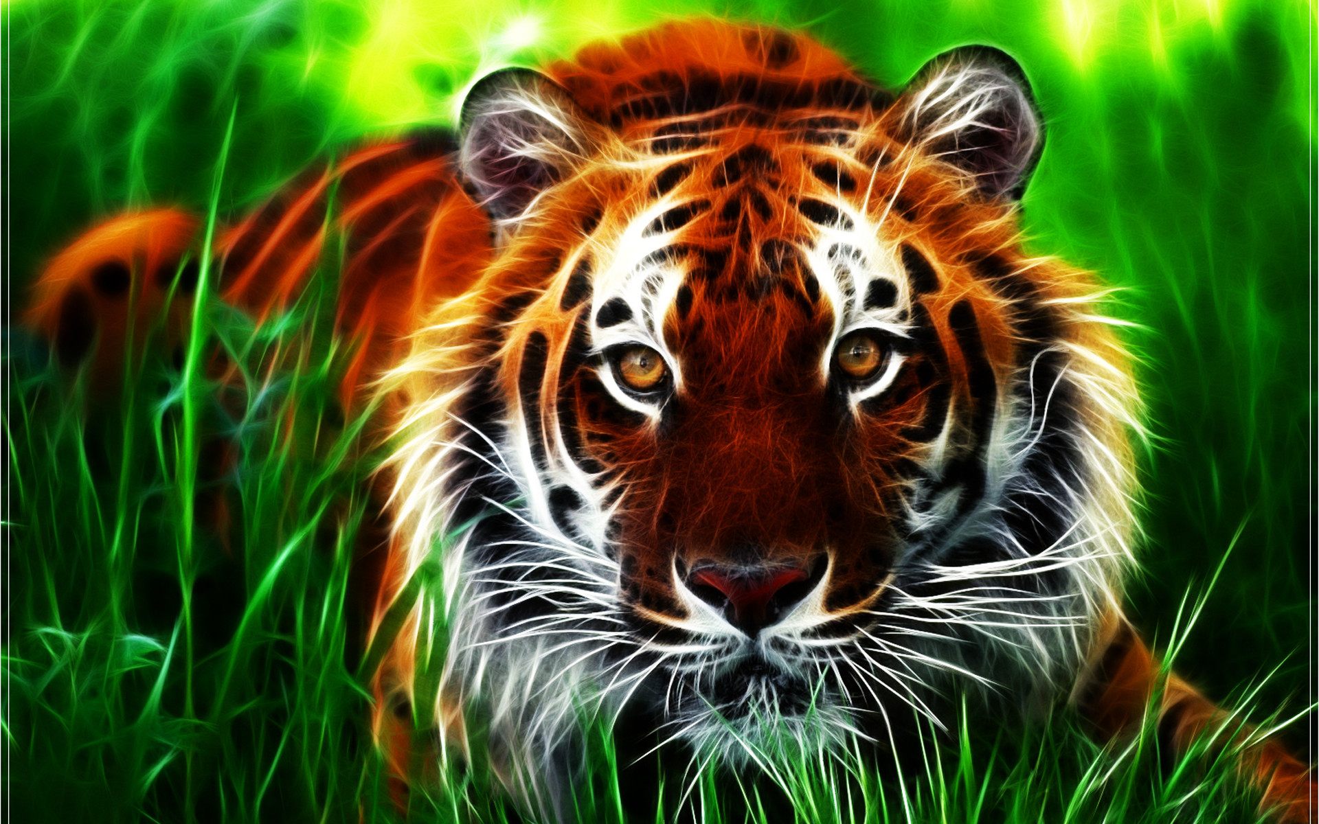 3d Tiger Face Hd Wallpaper For Desktop Download High - Beautiful Wallpaper Hd Tiger - HD Wallpaper 