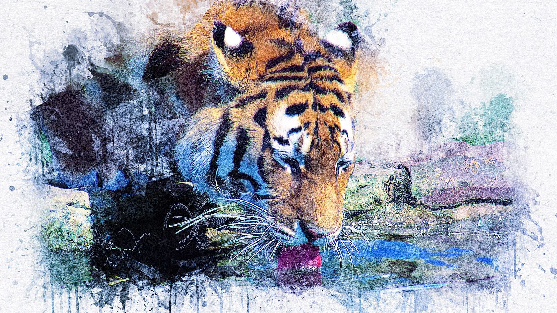 Tiger Quotes - HD Wallpaper 