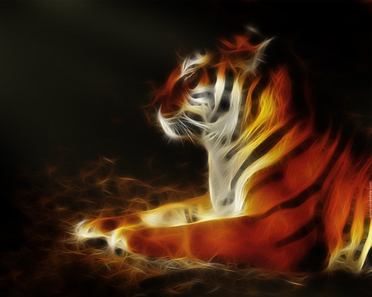 Glowing Tiger - HD Wallpaper 