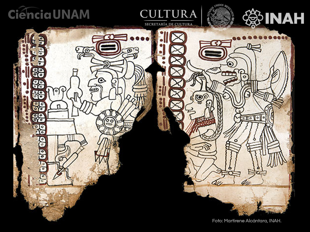 Grolier Codex - HD Wallpaper 