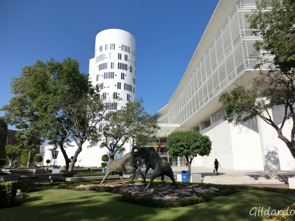 Tec Cem - HD Wallpaper 