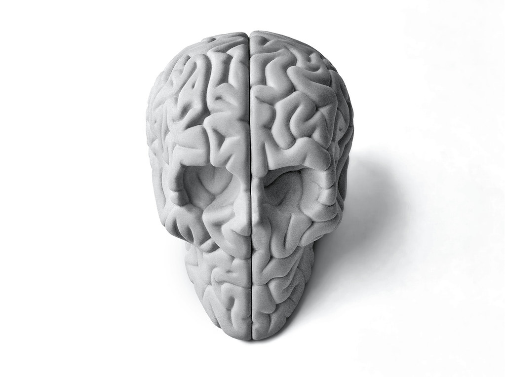 Econs Vs Humans Brain - HD Wallpaper 