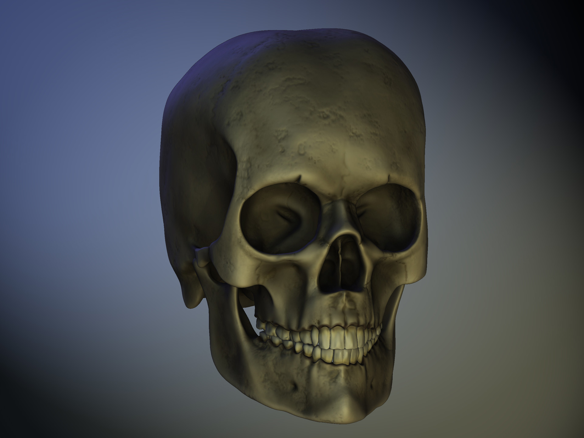 Skull - HD Wallpaper 
