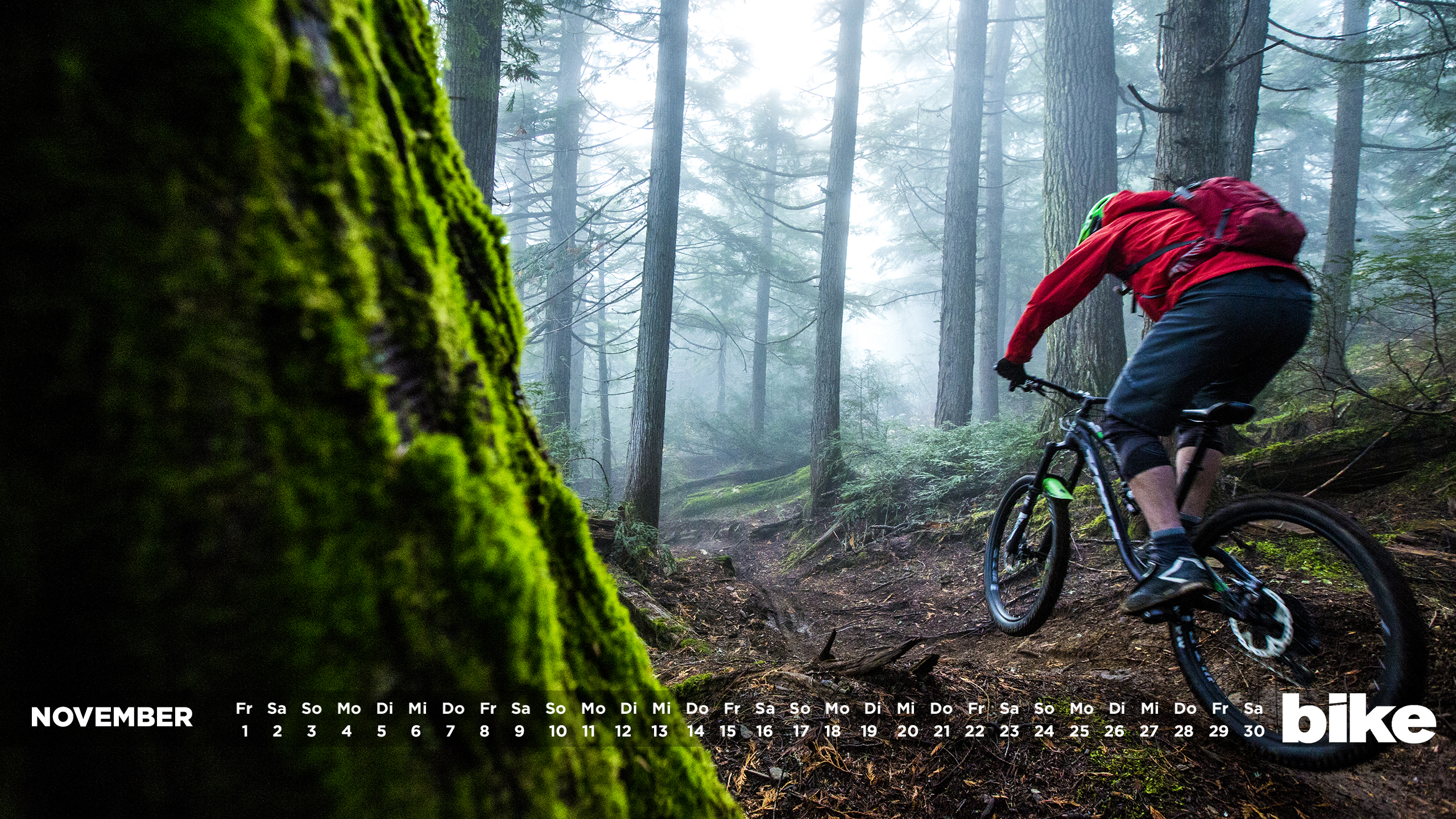 Downhill Mountain Biking - HD Wallpaper 
