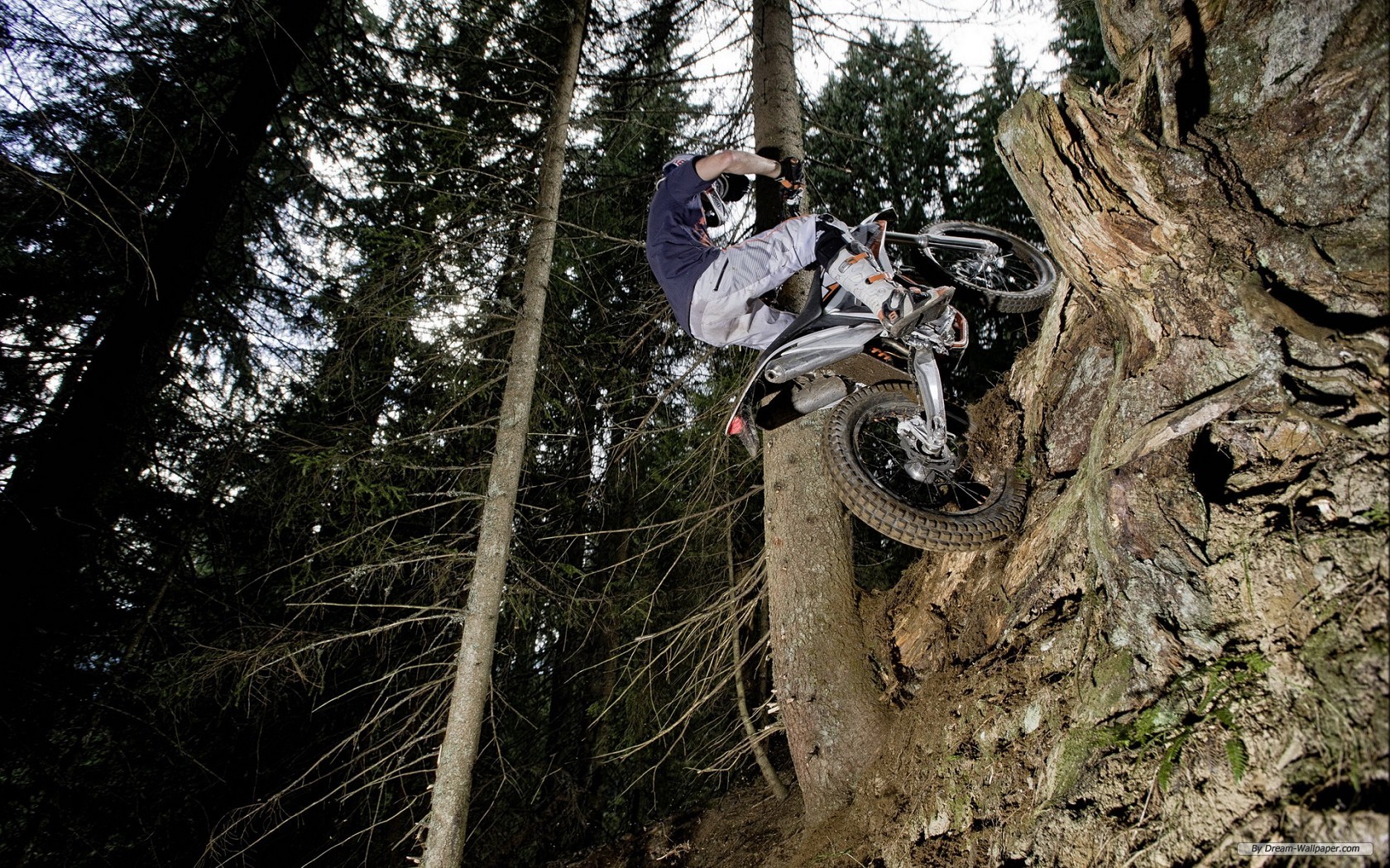 Free Auto Wallpaper - Freeride - HD Wallpaper 