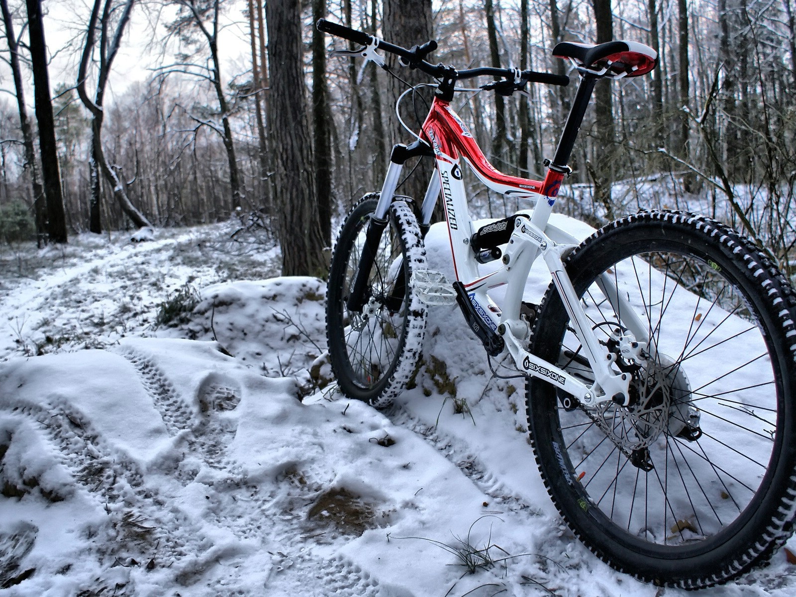 Mtb Mountainbike In The Forest In Winter Time - Mountain Bikes Wallpapers Hd - HD Wallpaper 