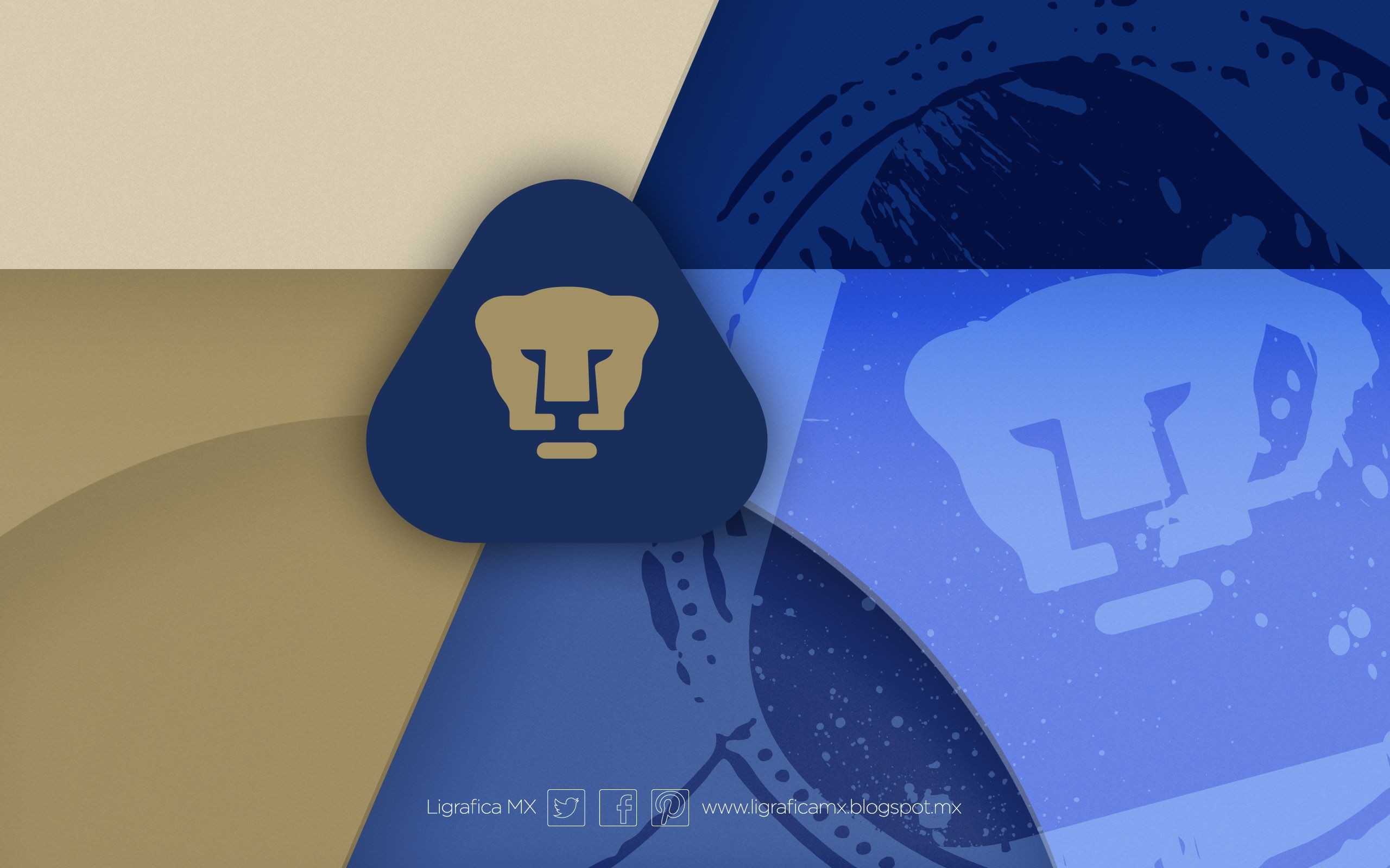 2560x1600, Pumas Unam • Ligraficamx 020214ctg 
 Data - Fondo Pumas - HD Wallpaper 