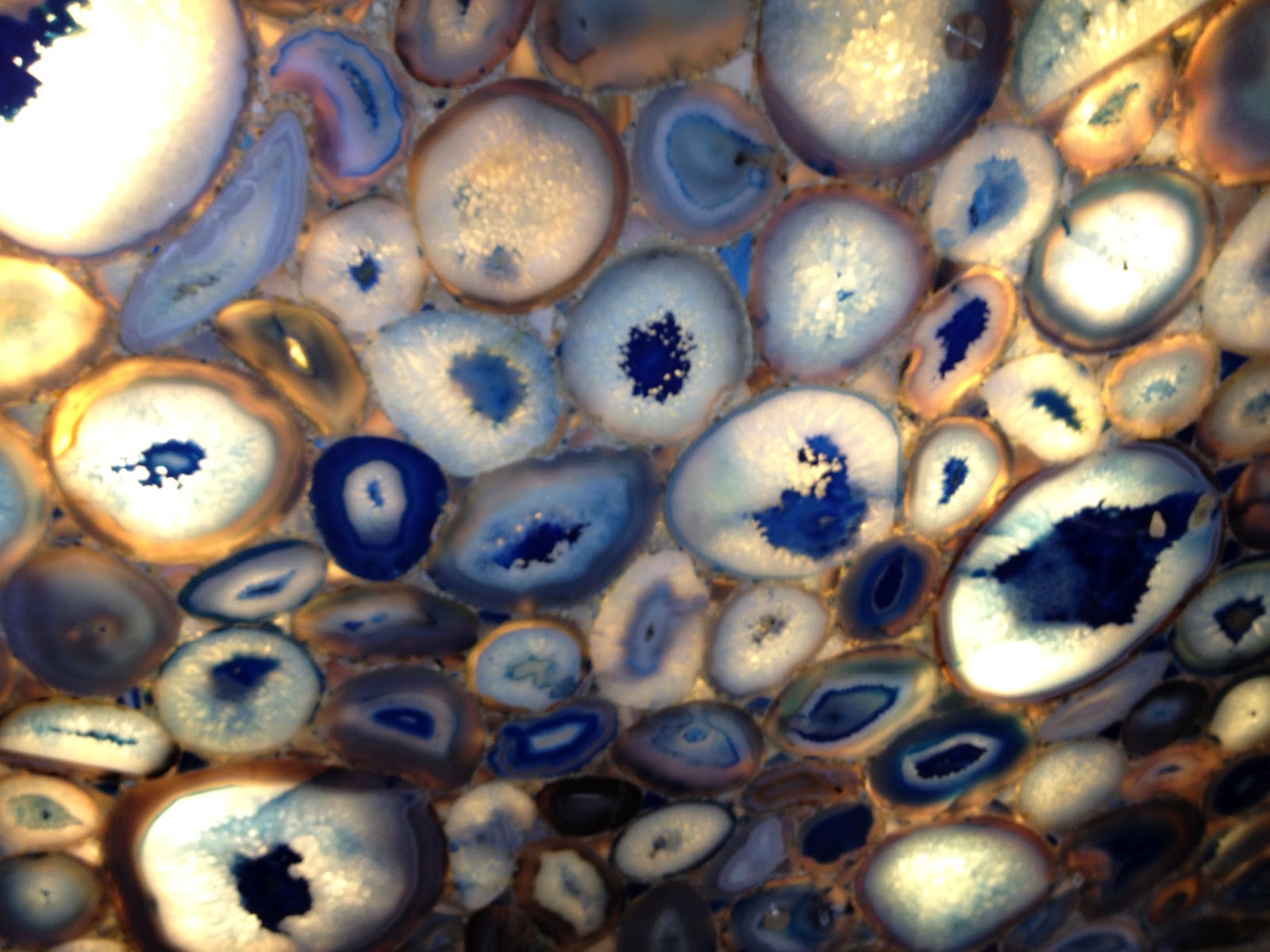 Animal - HD Wallpaper 