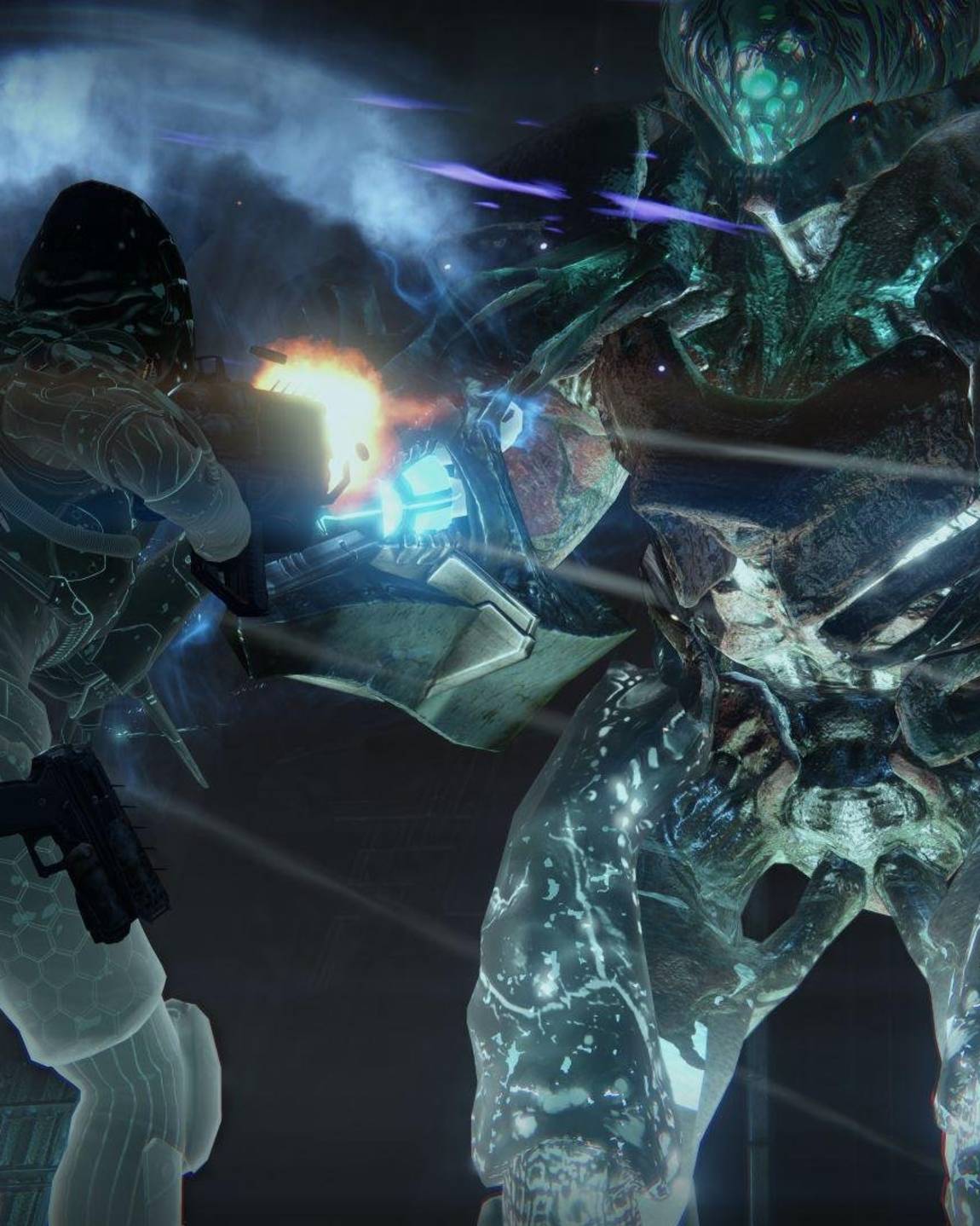 Destiny La Coupe Infecté - HD Wallpaper 