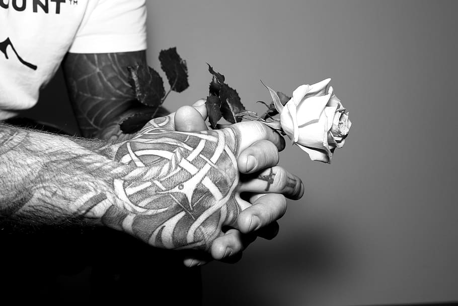 Hand, Rose, People, Adult, Man, Human Hand, One Person, - Monochrome - HD Wallpaper 