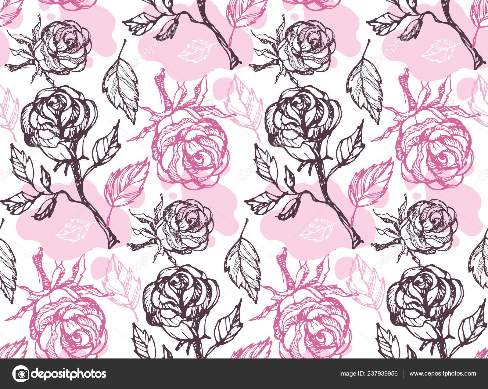 Garden Roses - HD Wallpaper 