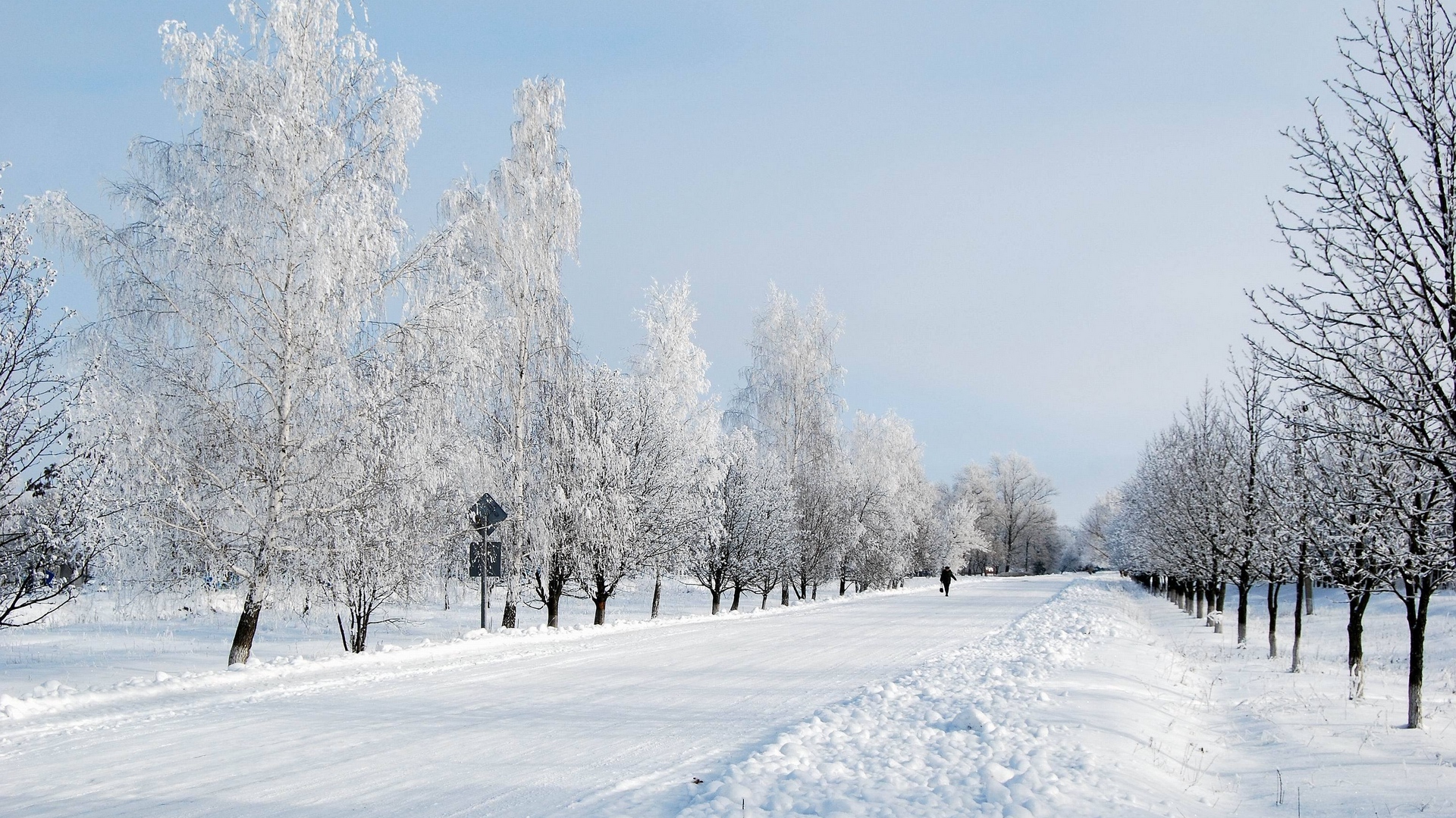 Wallpaper Winter, Snow, Road, Avenue, Trees, Person - Фото Full Hd Зима - HD Wallpaper 
