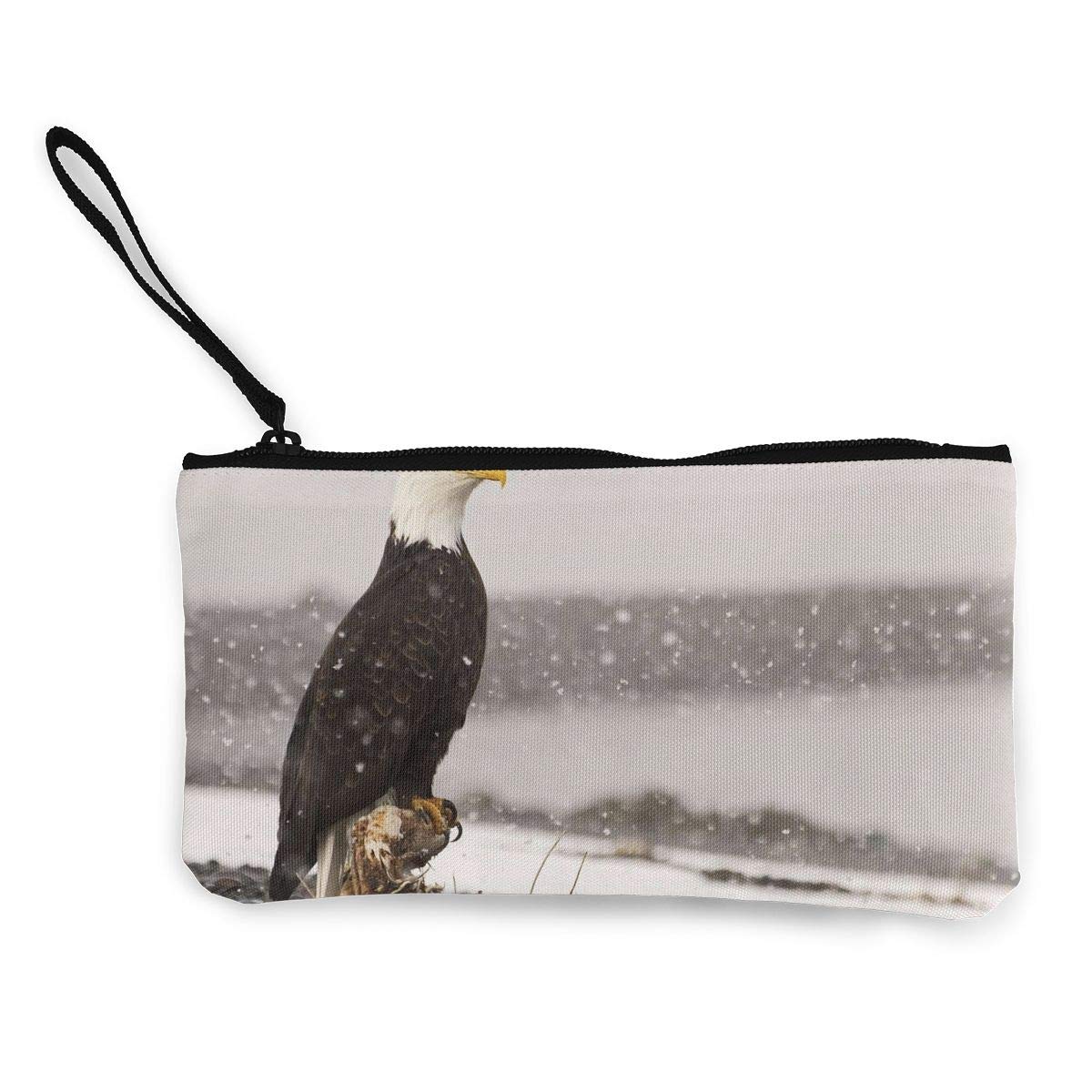 Bald Eagle - HD Wallpaper 