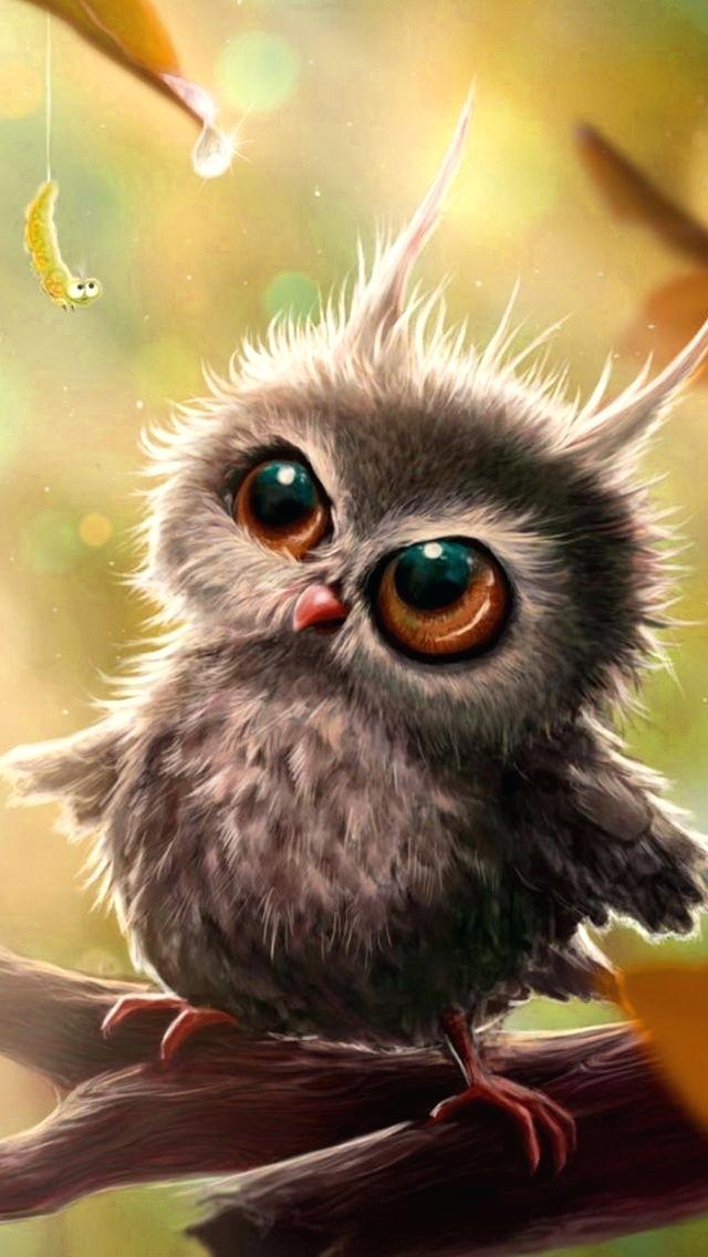 Owl Wallpaper Owl X Wallpapers Available For Free Download - Owl Cartoon  Wallpapers For Iphone - 640x1136 Wallpaper 