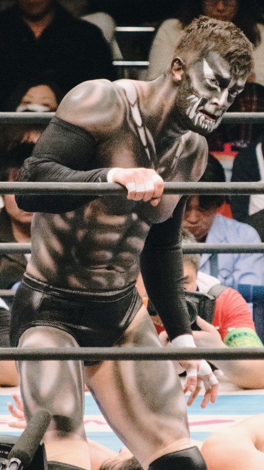 Professional Wrestling - HD Wallpaper 