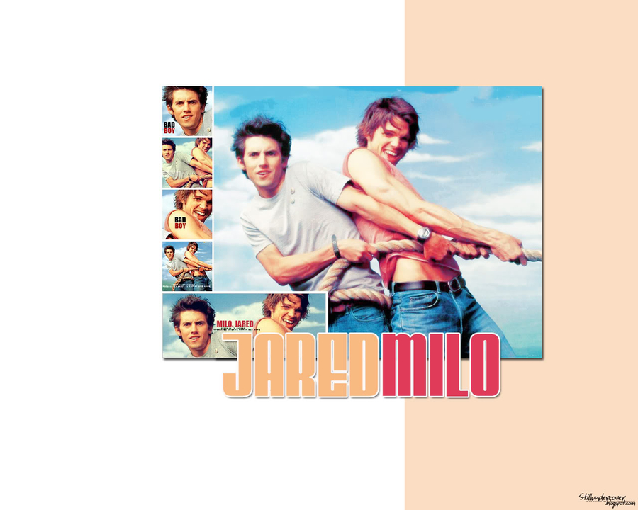 Gilmore Girls Jess Dean - HD Wallpaper 