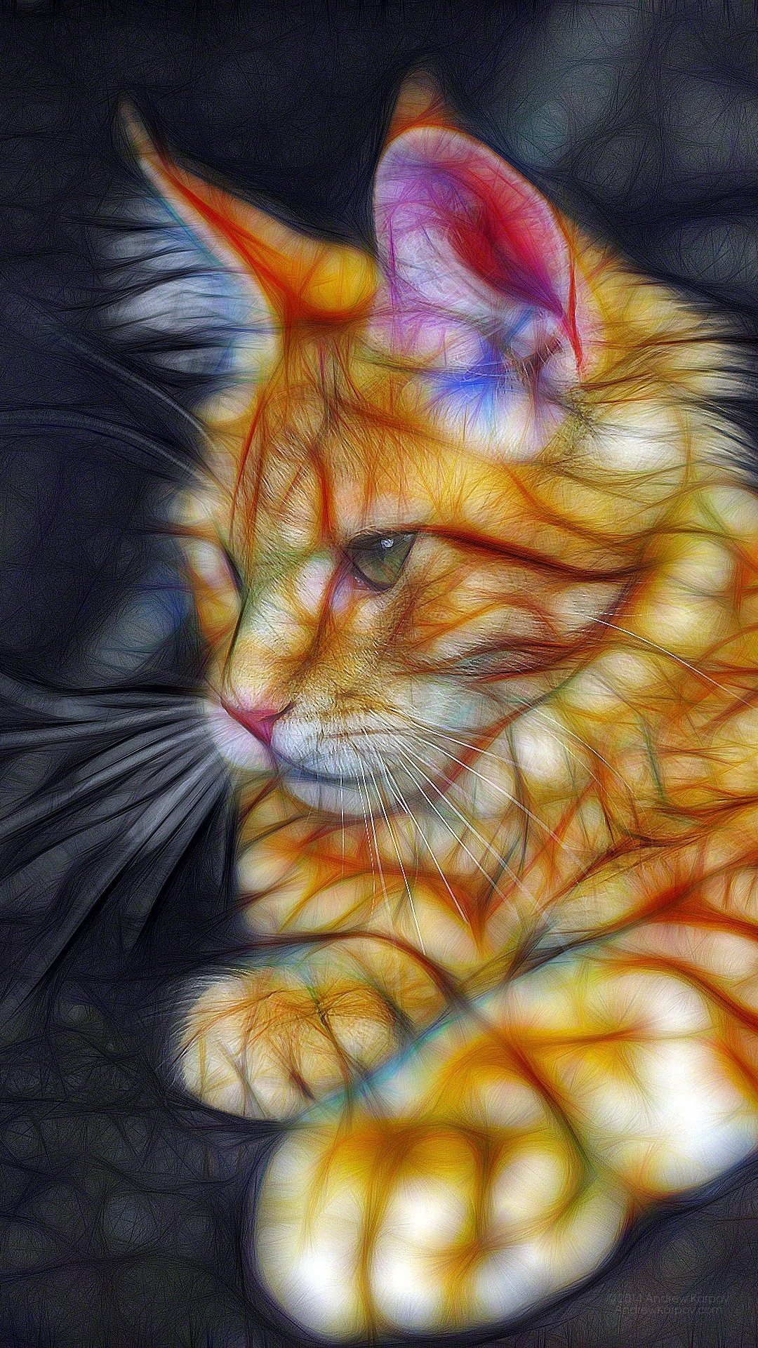 Motorola Moto G4 Plus Background - پشت زمینه موبایل فانتزی - HD Wallpaper 