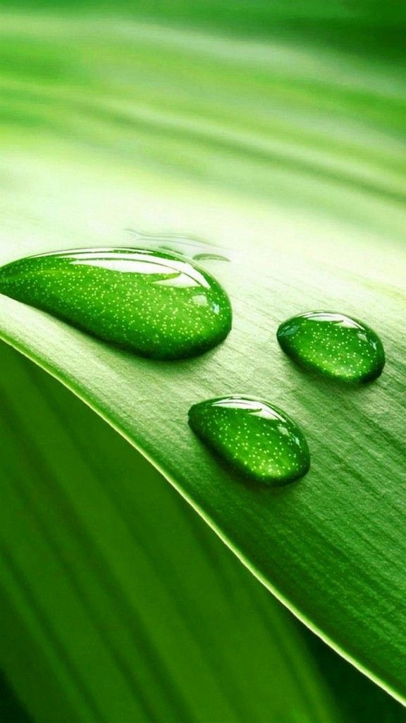 Long Wallpaper Hd Download - HD Wallpaper 