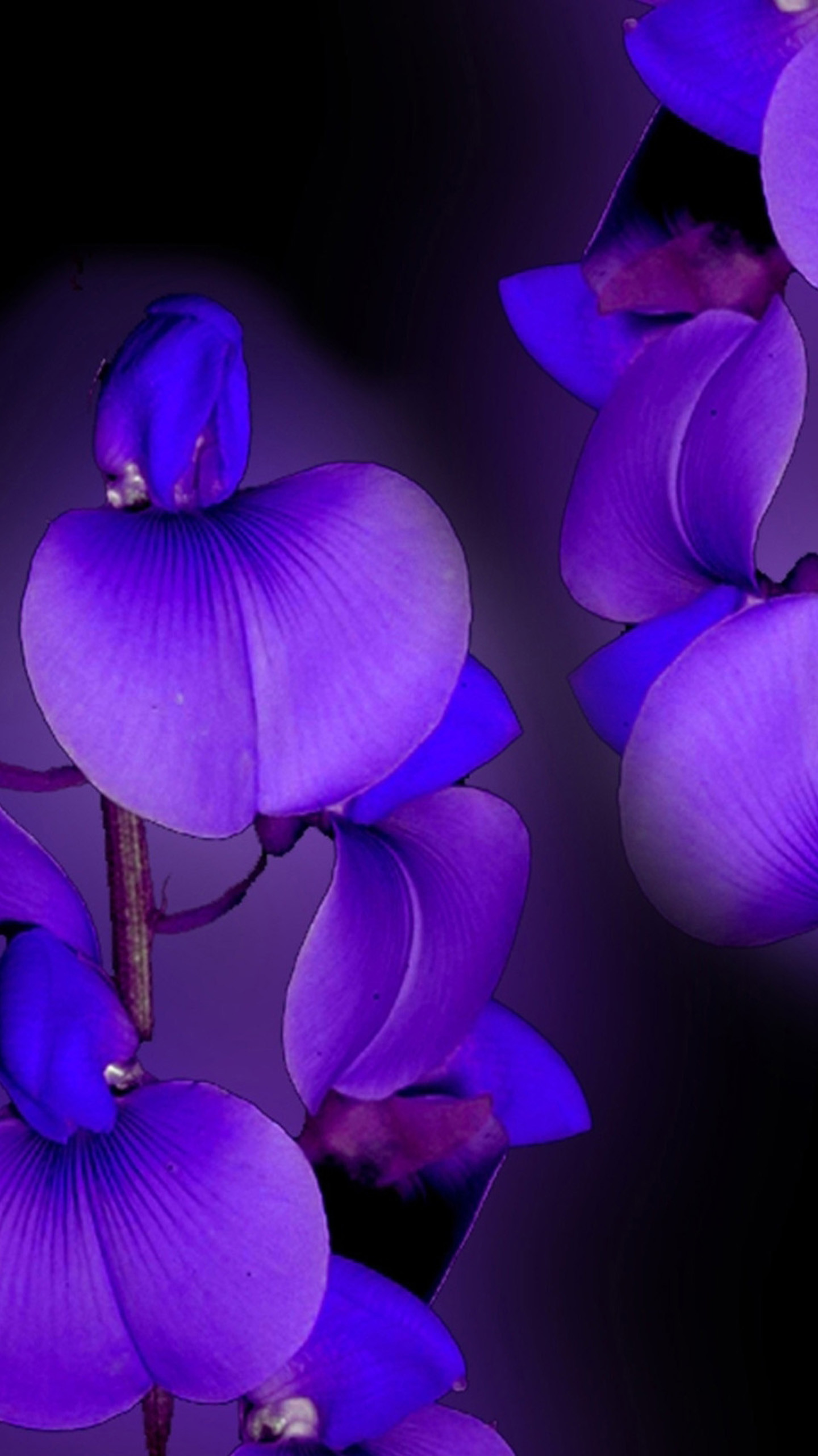 Colorful Galaxy S7 Wallpapers 164 
 Data-src - Best Wallpapers For Samsung S7 - HD Wallpaper 