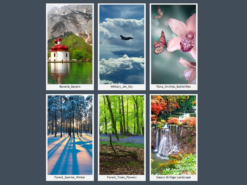 Galaxy S6 Edge Landscapes - Tree - HD Wallpaper 