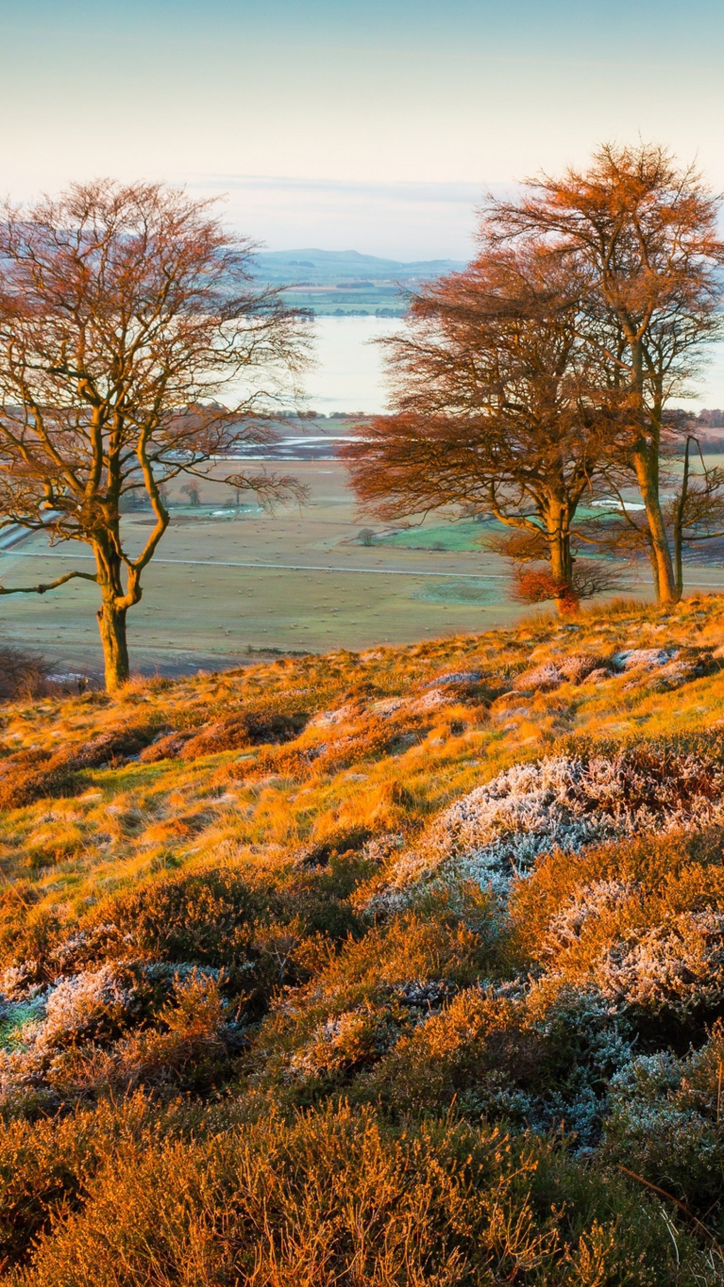 Iphone Se Wallpaper Autumn - HD Wallpaper 