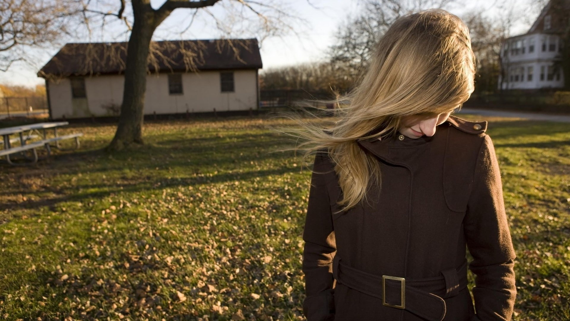 Wallpaper - HD Wallpaper 