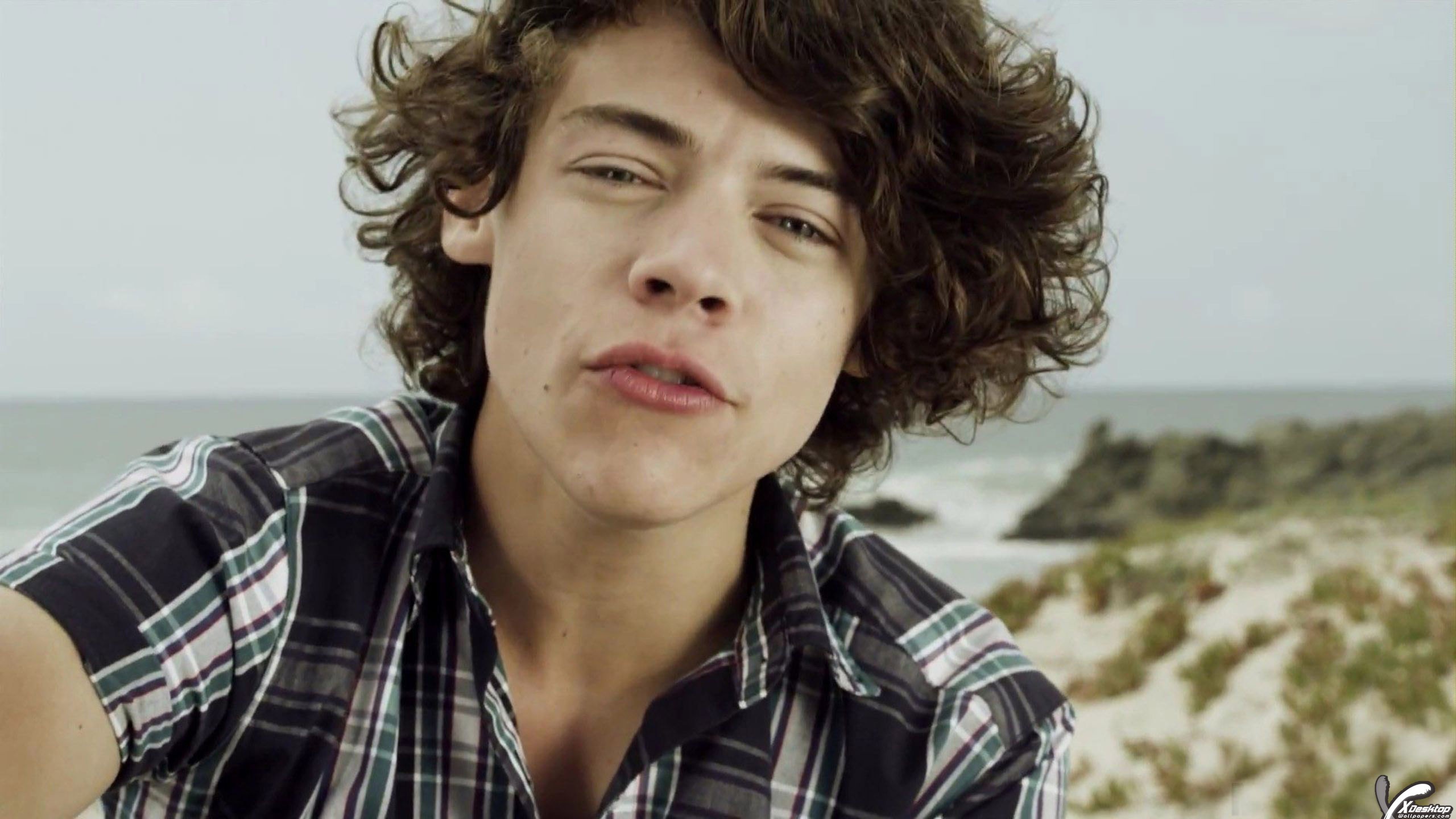 Harry Styles - HD Wallpaper 