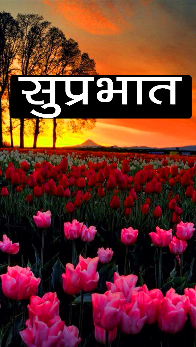 Good Morning Wallpaper Hd - Jolie Photo De Paysage Instagram - HD Wallpaper 