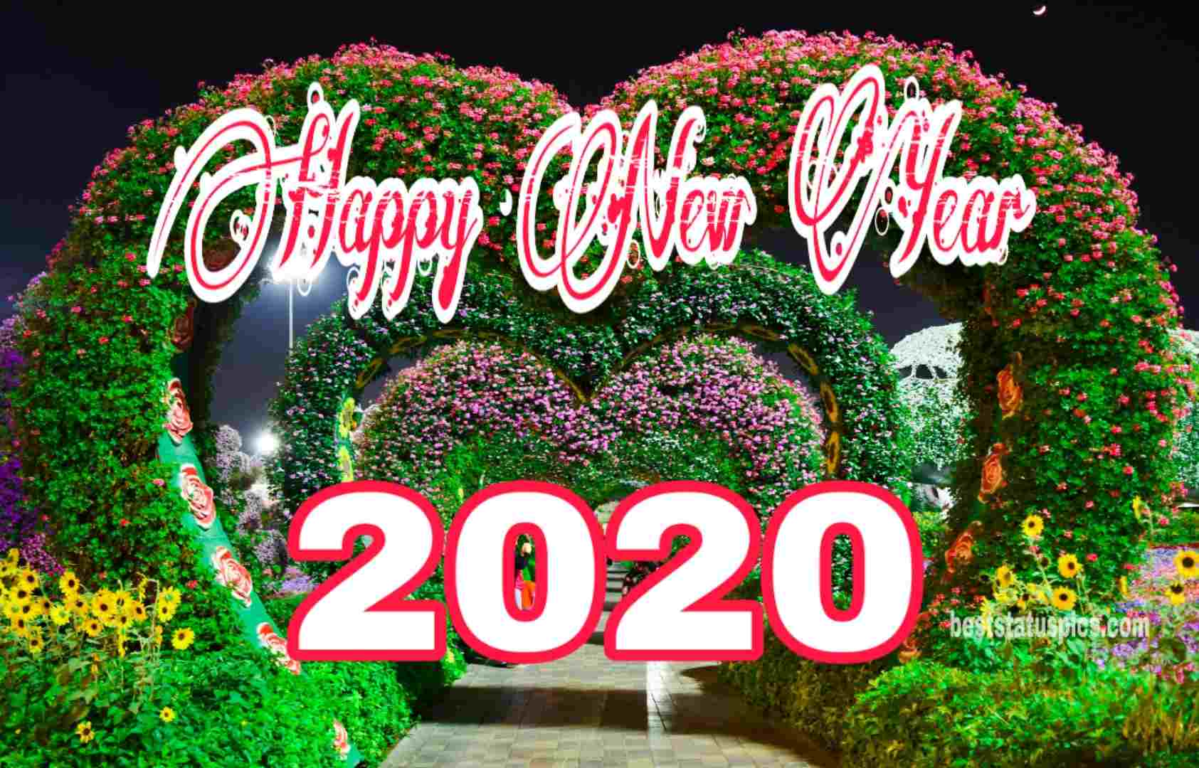 Happy New Year 2020 With Flowers - 1685x1080 Wallpaper 