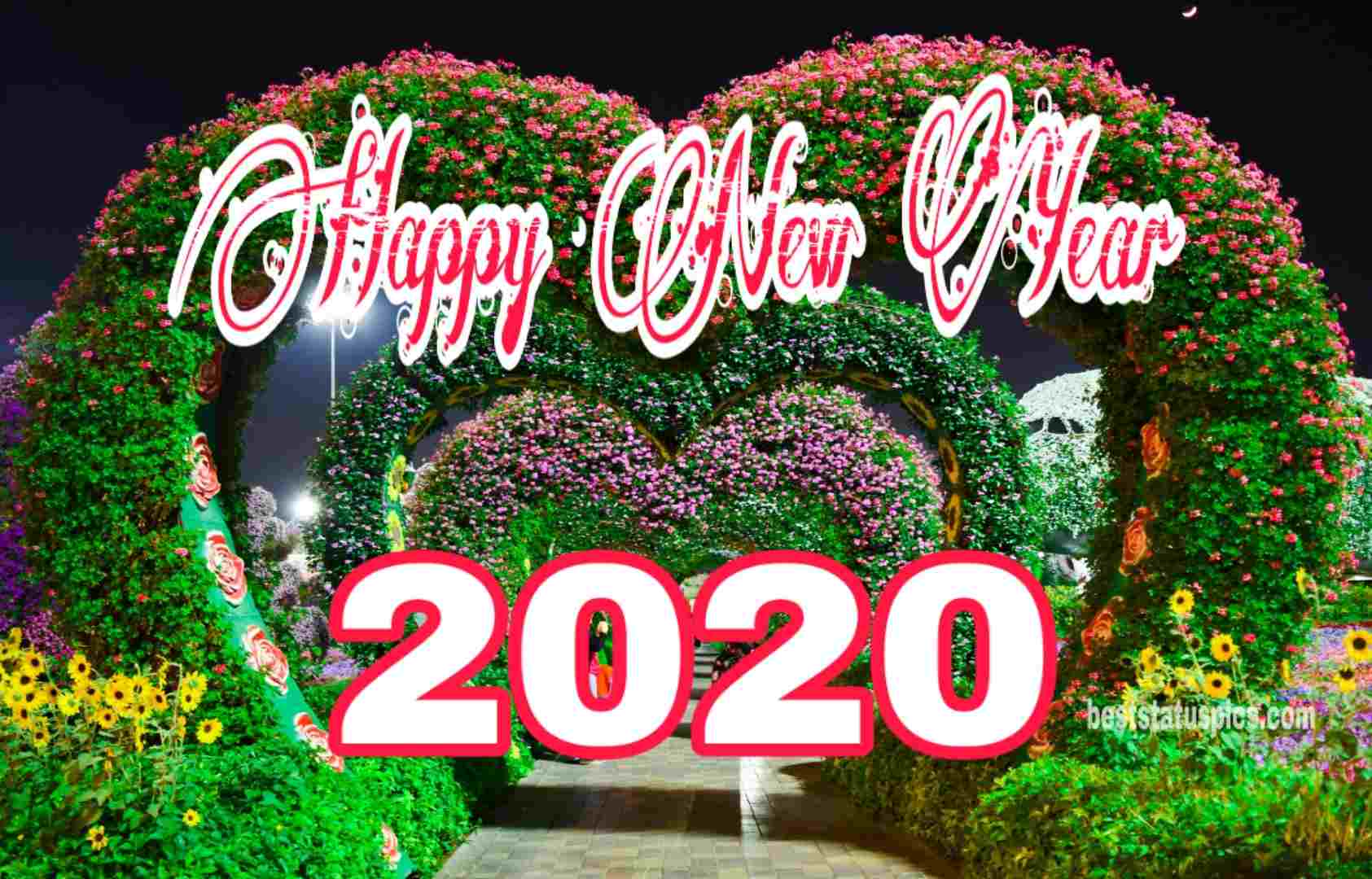 Happy New Year 2020 With Flowers - 1685x1080 Wallpaper Happy New Year 2020 With Flowers - 1685x1080 Wallpaper