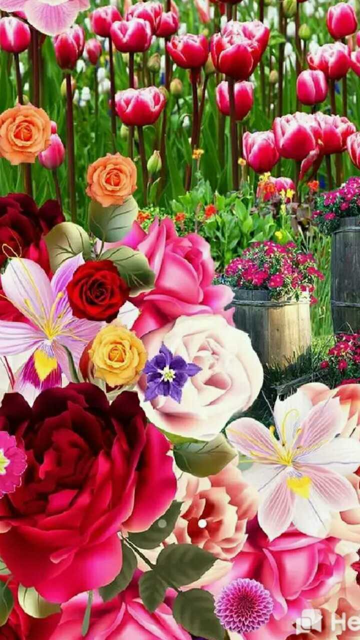 🌄hd Full Screen Wallpaper👌 - Sharechat - HD Wallpaper 